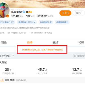 隐匿收入虚假申报 千万粉丝车评人陈震被税务部门查处